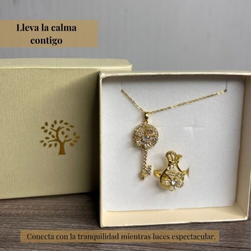1743266871WhatsApp Image 2025-03-29 at 11.47.30 AM PACK COLLAR GIRATORIO LLAVE Y ANILLO